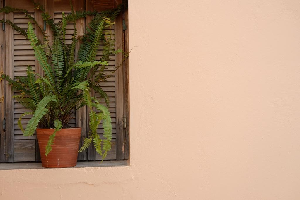 Fivos Pension Chania  Exterior foto